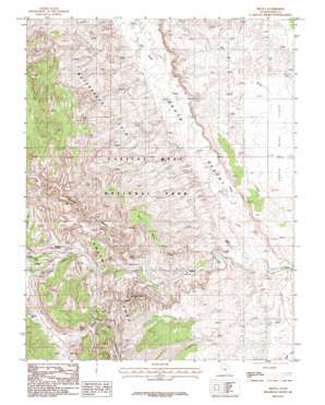 Fruita USGS topographic map 38111c2