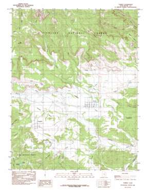 Torrey USGS topographic map 38111c4