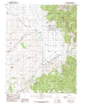 Bicknell topo map
