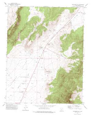 Buckhorn Flat topo map