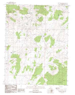 Dry Willow Peak topo map