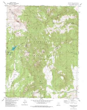 Delano Peak USGS topographic map 38112c3