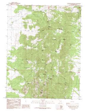 Bearskin Mountain USGS topographic map 38112d7