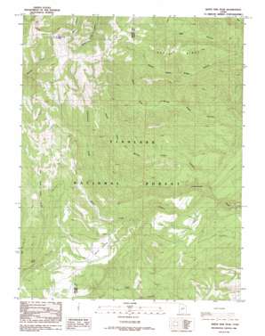 White Pine Peak topo map