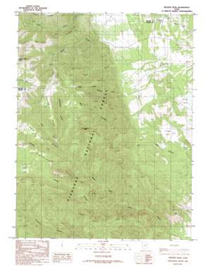 Beehive Peak USGS topographic map 38112h1