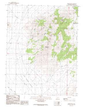 Badger Peak USGS topographic map 38113a2