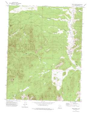 Bible Spring USGS topographic map 38113a6