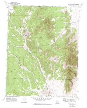Blue Mountain USGS topographic map 38113b4