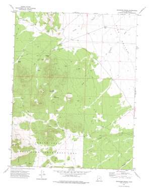Buckhorn Spring USGS topographic map 38113c7