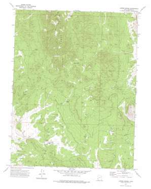 Lopers Spring topo map