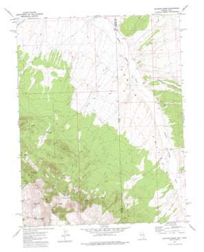 Gleason Basin topo map