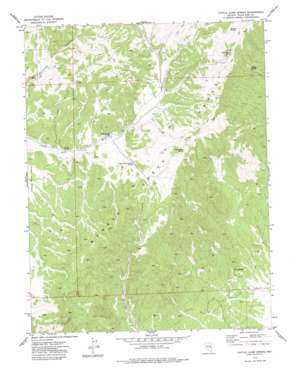 Cattle Camp Spring USGS topographic map 38114g6