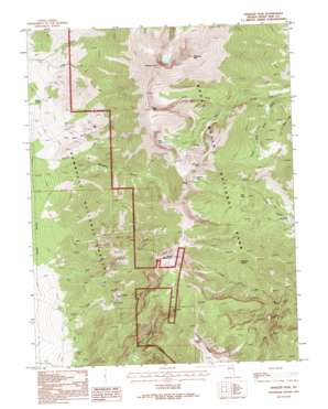 Wheeler Peak USGS topographic map 38114h3