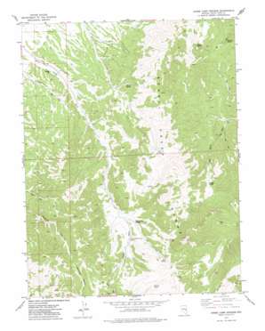 Horse Camp Springs topo map