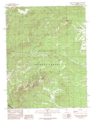 Horse Track Spring topo map