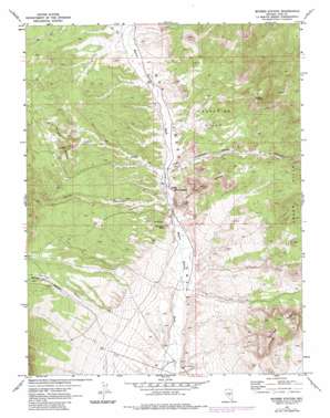 Moores Station topo map