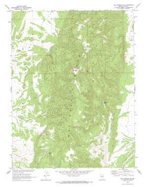 Fish Springs SE USGS topographic map 38116g3