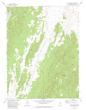 Park Mountain USGS topographic map 38116h2