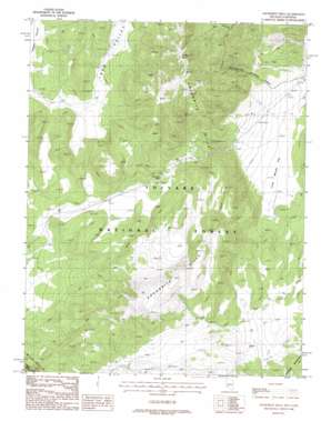 Anchorite Hills topo map