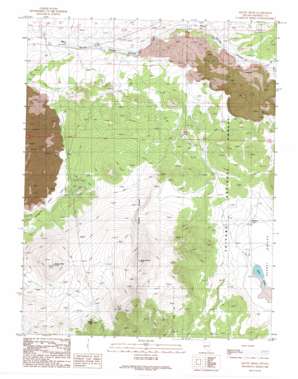 Mount Hicks USGS topographic map 38118c7