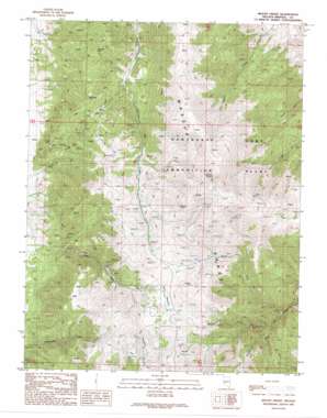 Mount Grant USGS topographic map 38118e7