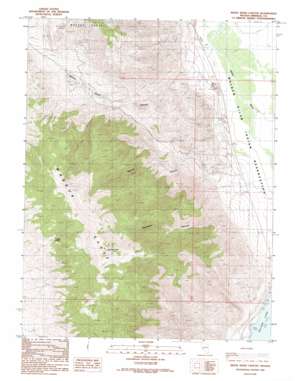 Reese River Canyon USGS topographic map 38118g7