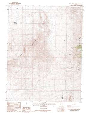 Buck Brush Spring USGS topographic map 38118g8