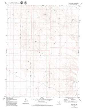 Pilot Cone USGS topographic map 38118h4