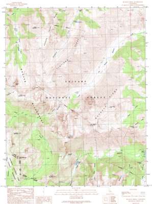 Buckeye Ridge USGS topographic map 38119b4