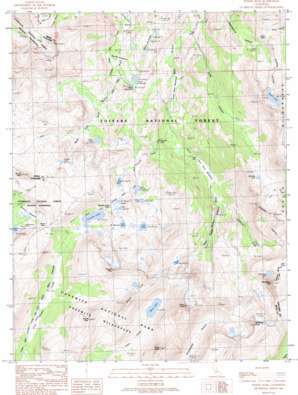 Tower Peak USGS topographic map 38119b5