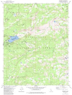 Pinecrest USGS topographic map 38119b8