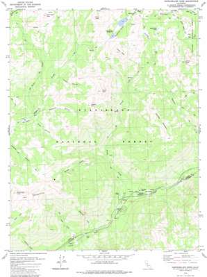 Disaster Peak USGS topographic map 38119d7