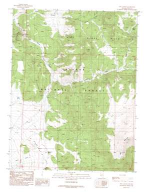 Nye Canyon USGS topographic map 38119e2