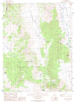 Coleville USGS topographic map 38119e5