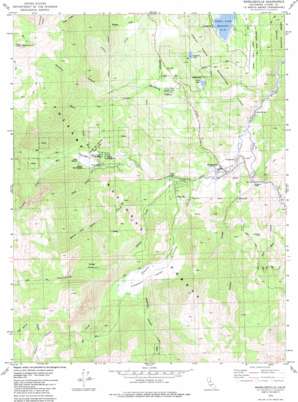 Markleeville topo map