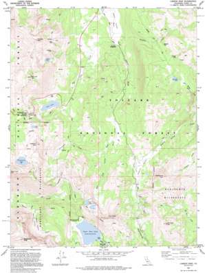 Carson Pass topo map