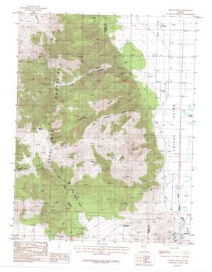 Oreana Peak USGS topographic map 38119g4