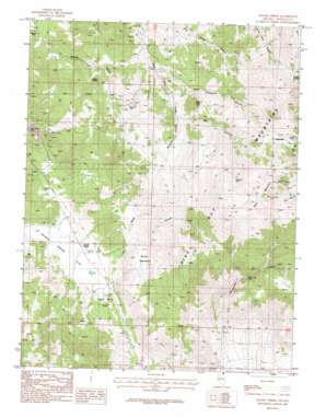 Double Spring USGS topographic map 38119g5