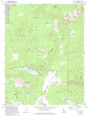 Freel Peak USGS topographic map 38119g8