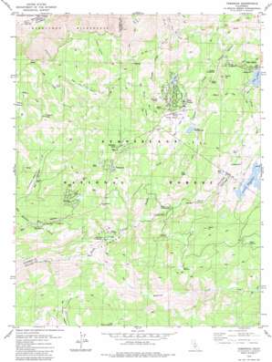 Tamarack USGS topographic map 38120d1