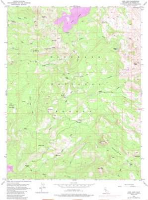 Loon Lake USGS topographic map 38120h3