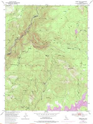 Robbs Peak USGS topographic map 38120h4