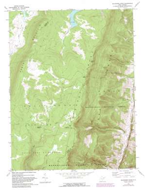 Blackbird Knob USGS topographic map 39079a3