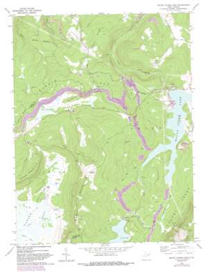 Mount Storm Lake USGS topographic map 39079b3