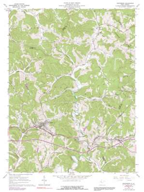 Ellenboro USGS topographic map 39080c8