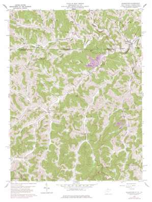 Wadestown USGS topographic map 39080f3