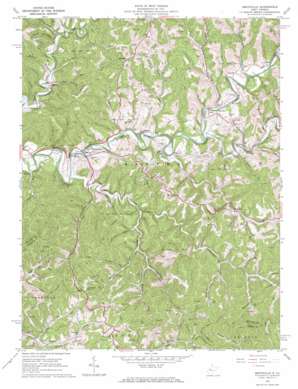 Smithville USGS topographic map 39081a1