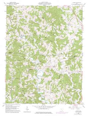 Alfred USGS topographic map 39081b8