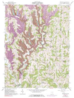 Reinersville USGS topographic map 39081f6