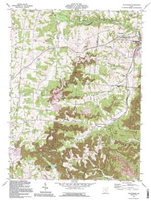 Fultonham USGS topographic map 39082g2